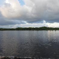 Sebangau River3
