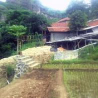 Cililin15
