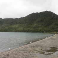 NewZealand4