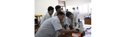 Jasa Pelatihan