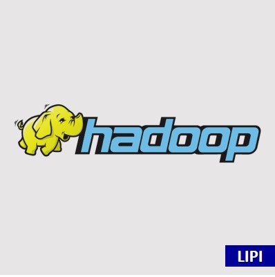Big Data Node