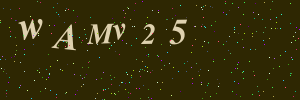 Validation image
