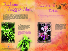 desainbrosuranggrek