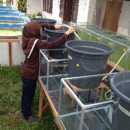 Penelitian Bioflok di laboratoritum UPT LAPD Maninjau