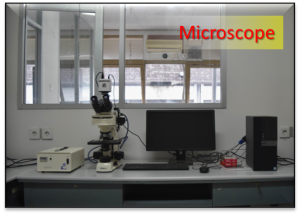 Microscope