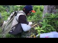 View Video