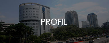 Profil