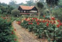 Berita