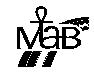 Berita