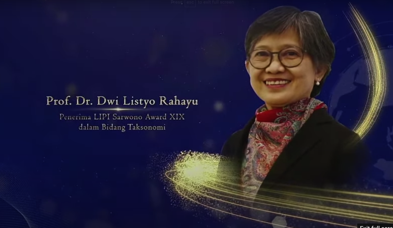 Berita