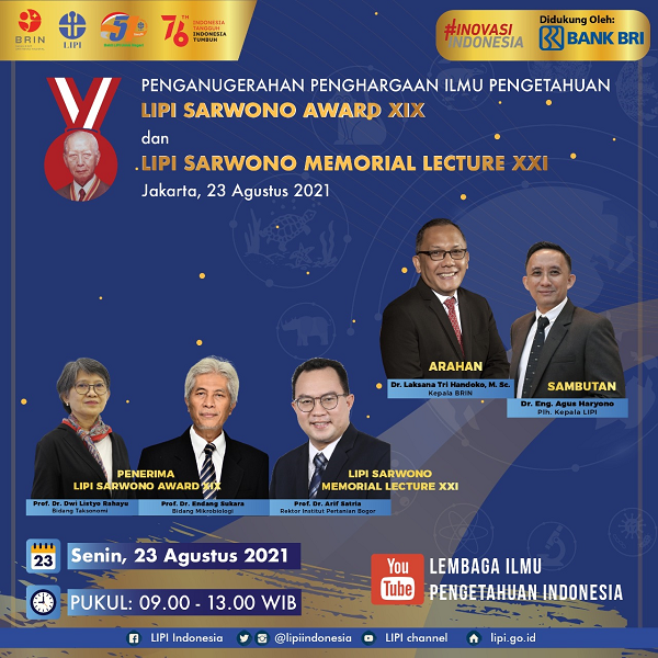 Pengumuman