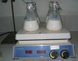 Riset Unggulan