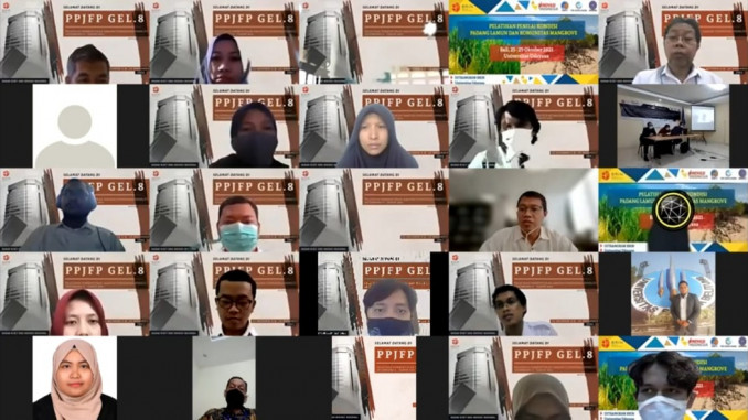 PPJFP Gel VIII