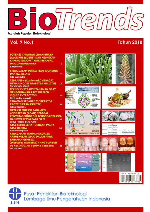 Halaman Sampul