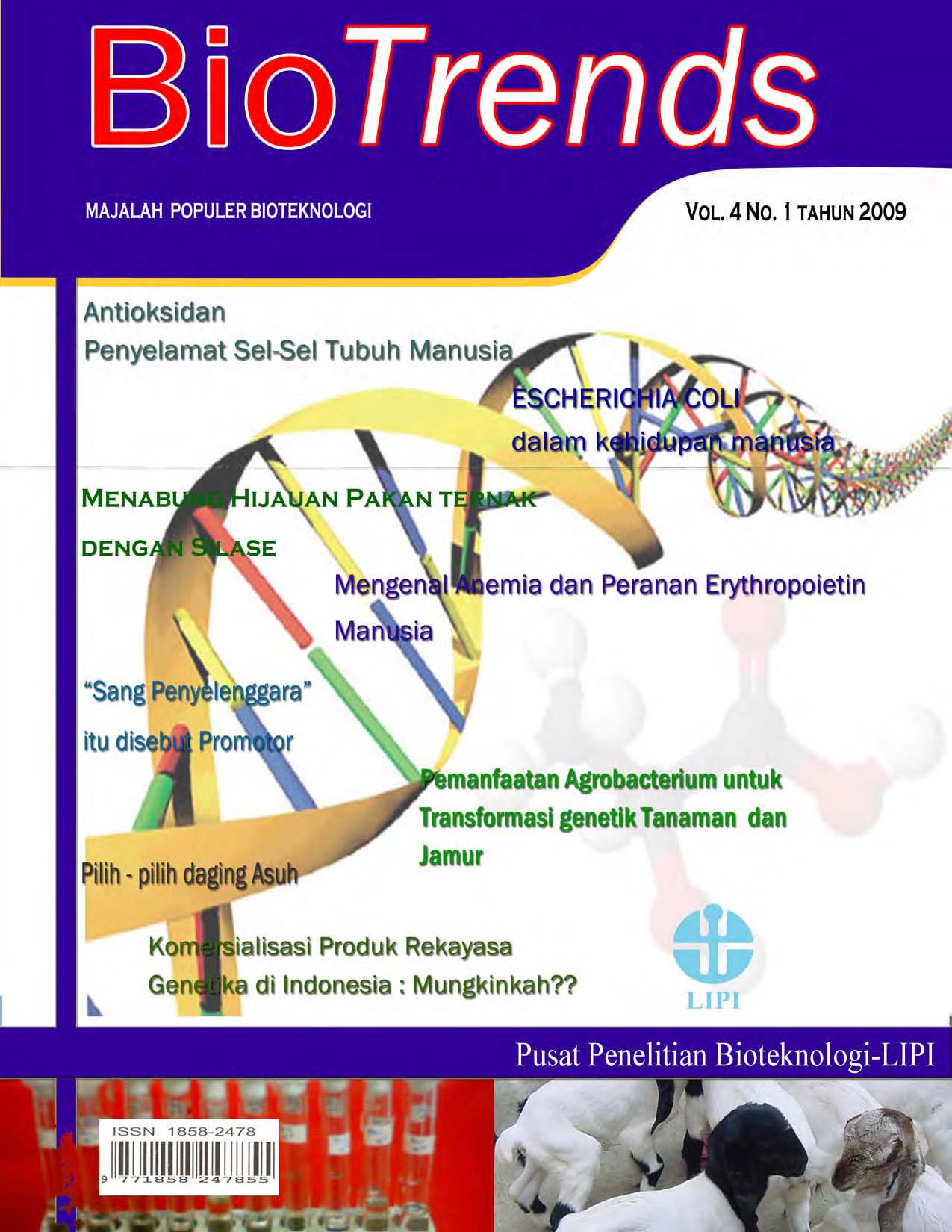 Halaman Sampul